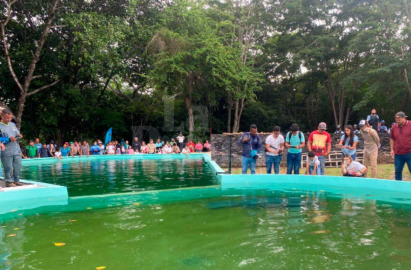 Manatí “Tico” fue recibido en Barquisimeto tras ser rescatado en Isla La Blanquilla