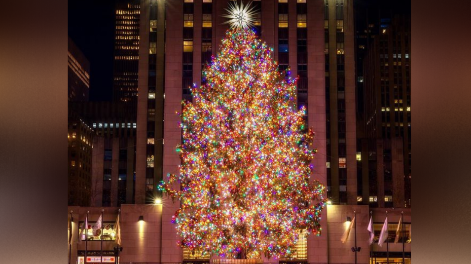 Esta es la ciudad más “Grinch” de Estados Unidos, donde sus habitantes no tienen espíritu navideño