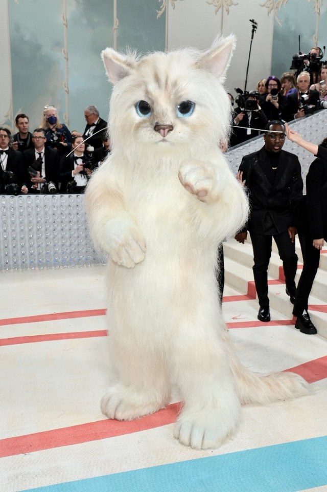 Jared Leto se disfrazó de gato e impactó a todos en la Met Gala (Fotos)