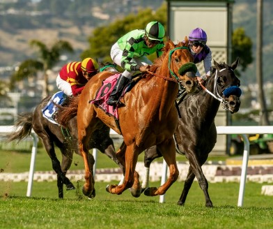 El Cierre del Golden Gate Field: ¿El Fin de la Escena de Carreras de Caballos en California?