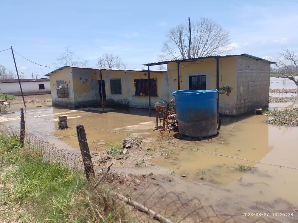 Productores del Sur del Lago denuncian que más de 230 mil hectáreas están bajo el agua