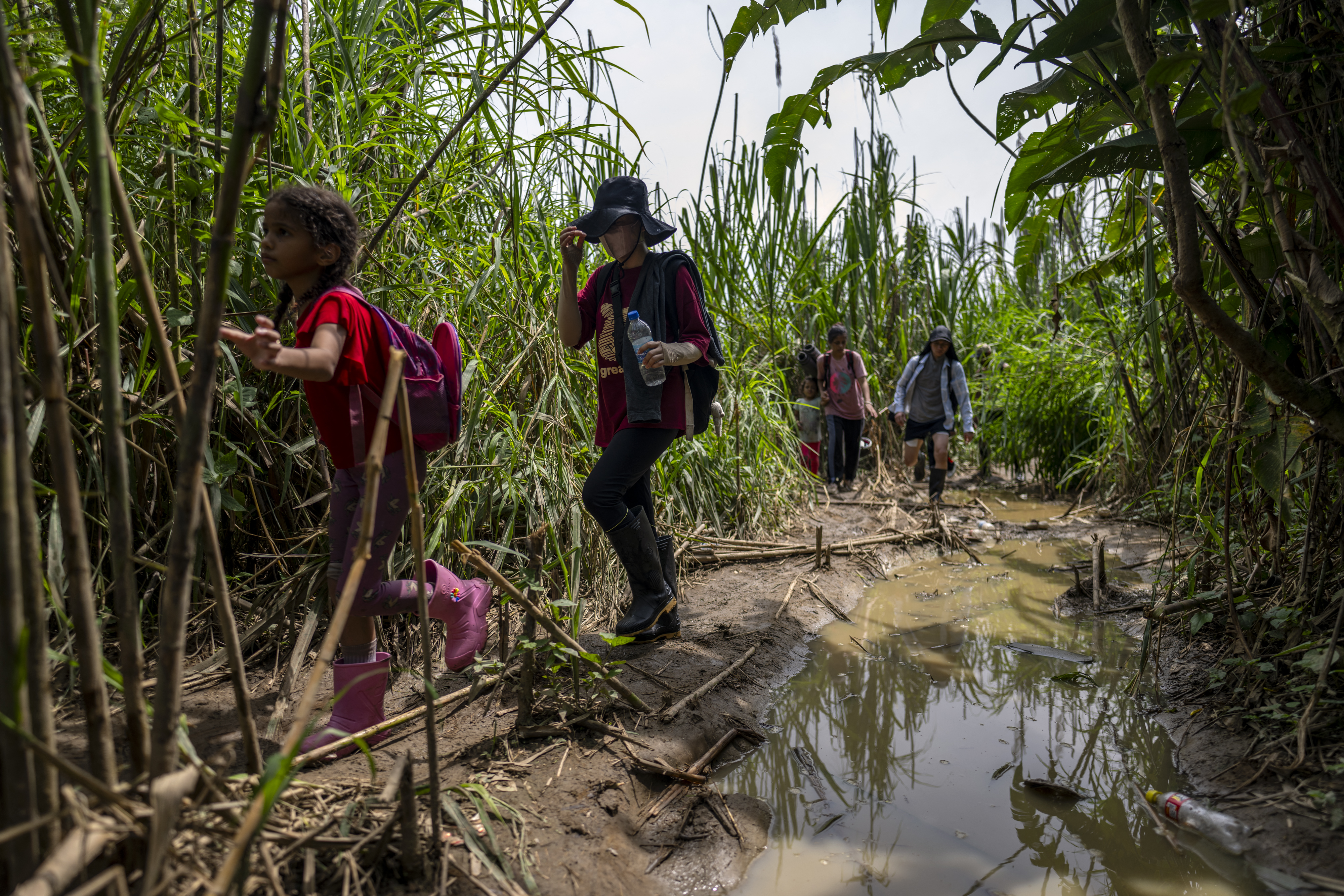 Médicos Sin Fronteras atendió casi 400 casos de violencia sexual a migrantes en el Darién en 2023