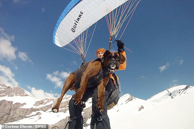 Abuela de 68 años ha completado casi 500 vuelos en parapente con su adorable mascota