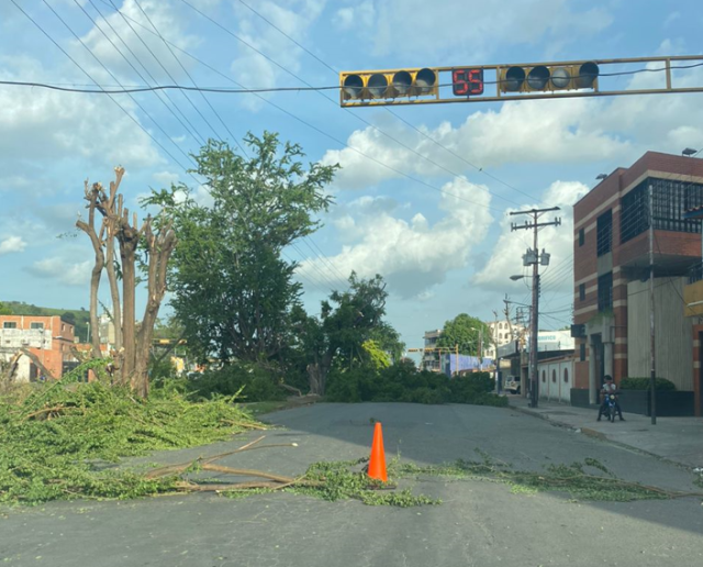 Corpoelec, not only cuts off the electricity, but also “cuts trees down without rhyme or reason” in Maracay