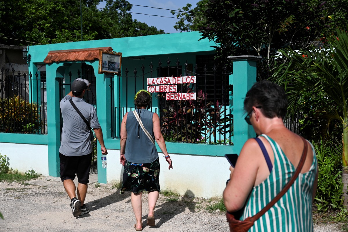 El ave más pequeña del mundo tiene una casa con jardín en Cuba