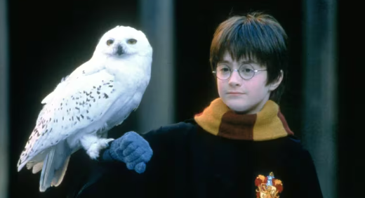 Los 10 datos ocultos sobre Harry Potter que todo fan debe saber