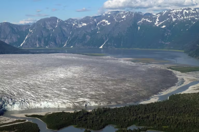 El extremo del piedemonte del glaciar Taku, uno de los más de 1.000 glaciares del campo de hielo Juneau, en el sureste de Alaska (Bethan Davies via The New York Times)