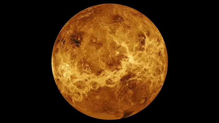 A team of scientists found possible signs of life in the clouds of Venus