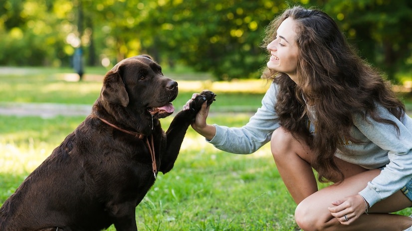 Un concurso ofrece 10 millones de dólares a la persona que se pueda comunicar con un animal