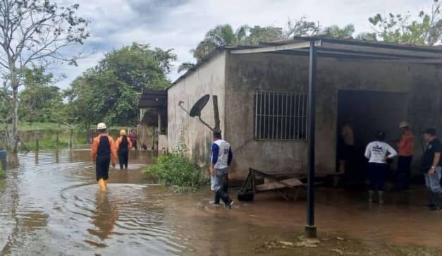 Intermitencia de las lluvias ha favorecido a las comunidades vulnerables del municipio Sosa en Barinas