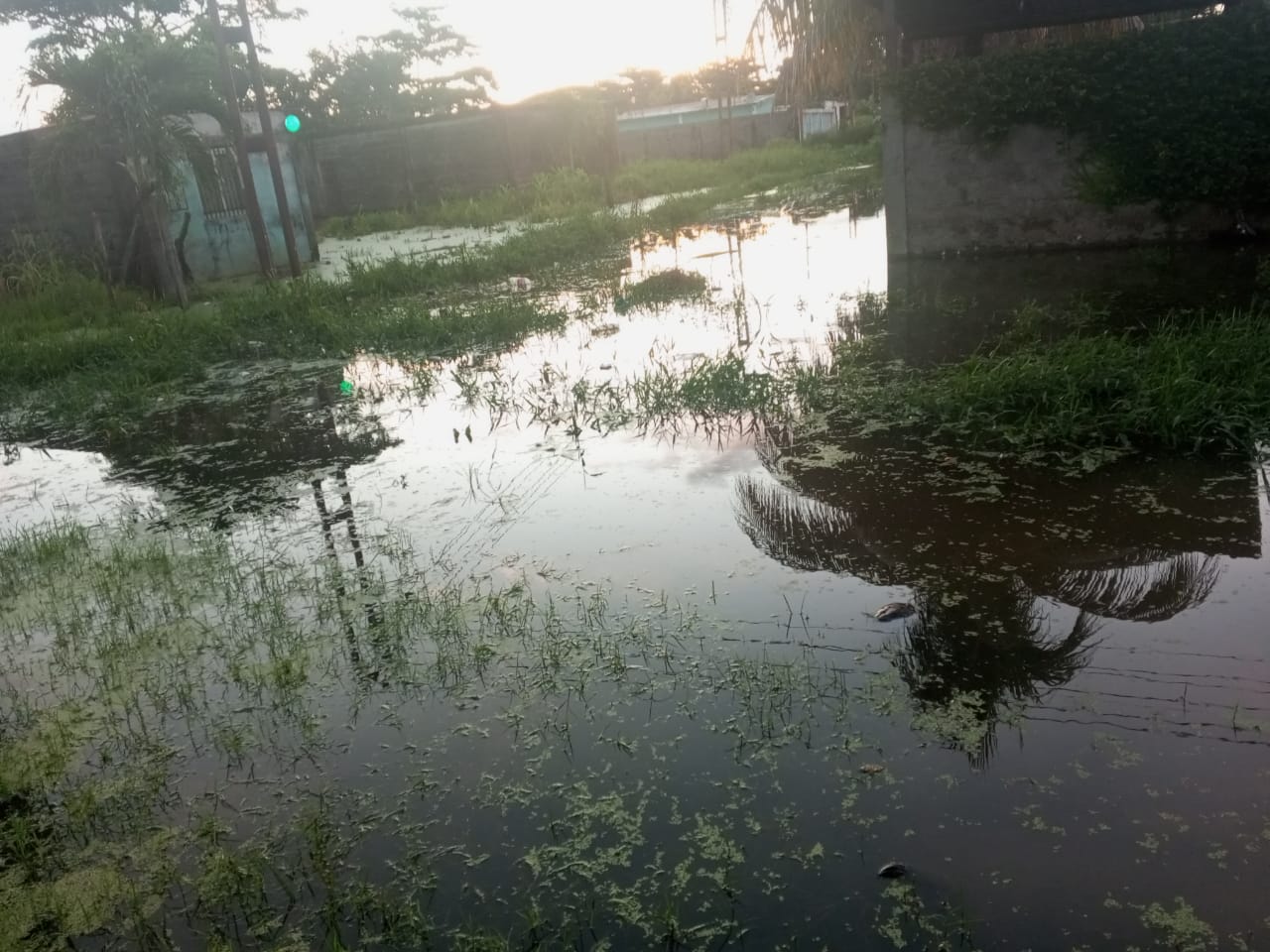 Más de 20 años tienen los vecinos de Santa Rosa y La Padronera en Apure soportando la pudrición de cloacas