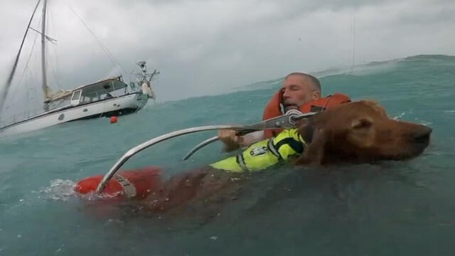 VIDEO: Se aferró a su perrito y fueron rescatados por la Guardia Costera en medio del huracán Helene en EEUU