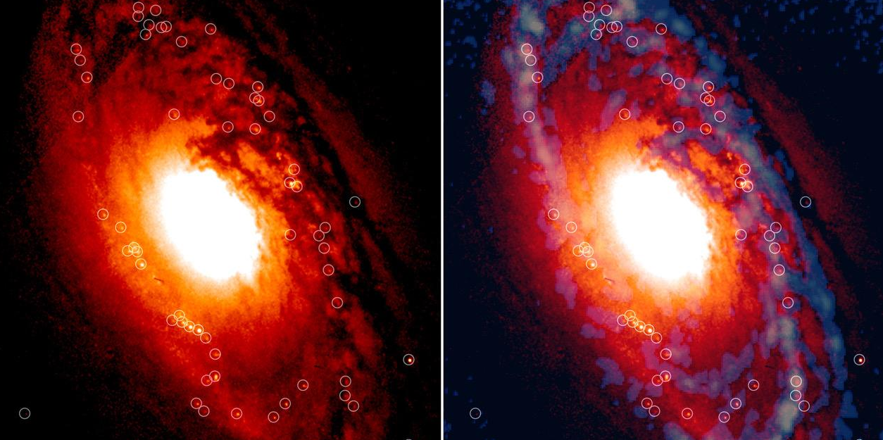 Astrofísicos descubrieron formaciones estelares extremadamente jóvenes en galaxias muy viejas