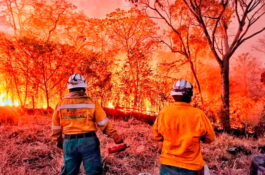 Luis Arce decretó “desastre nacional” en Bolivia por los incendios forestales