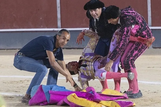 ¡Impactante! Torero recibió fuerte corneada en el cuello justo antes de estocada mortal (Imágenes sensibles)