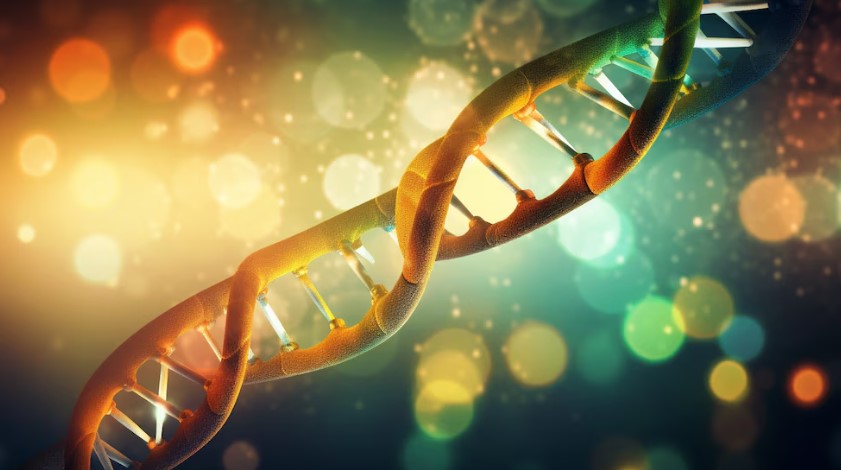 Qué es el síndrome Phelan-McDermoid, la enfermedad poco frecuente que afecta a más de tres mil personas en el mundo