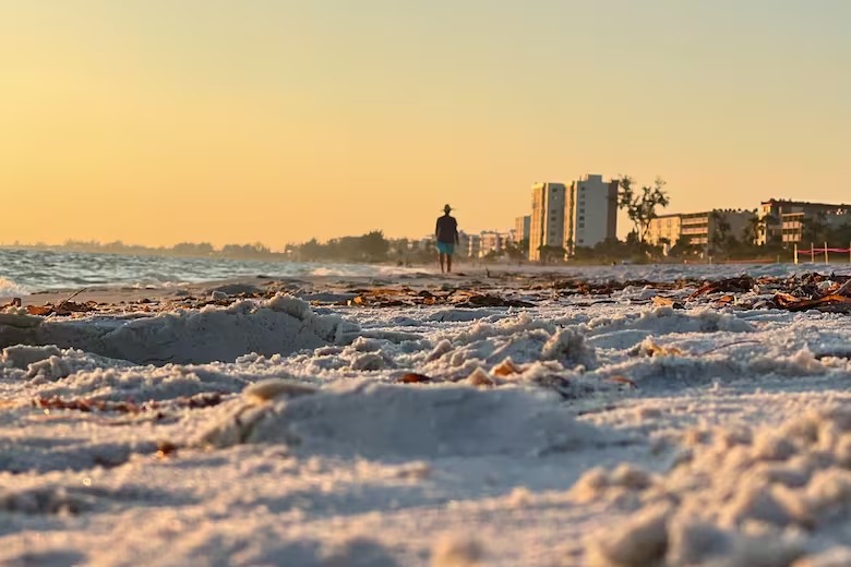 El fenómeno particular que marcará el invierno 2024 en Florida