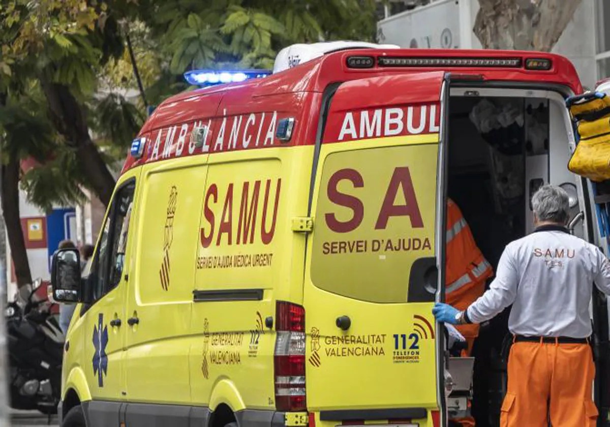 Murió cuando iba al médico tras ser mordida por un hámster