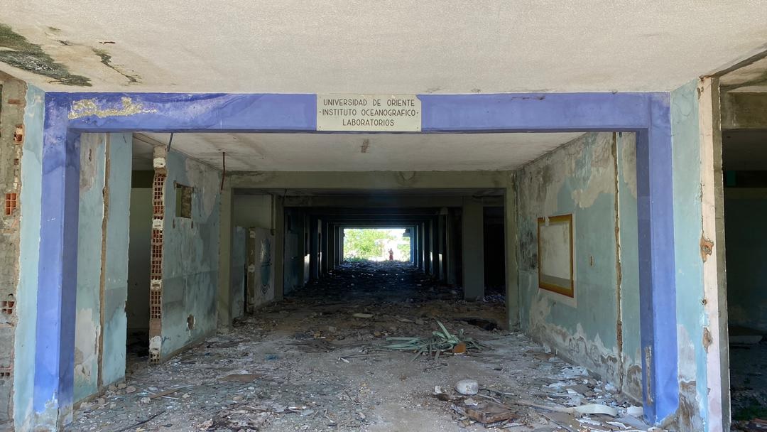 Instituto Oceanográfico de Venezuela, uno de los más antiguos de Latinoamérica, hundido en la destrucción (FOTOS)