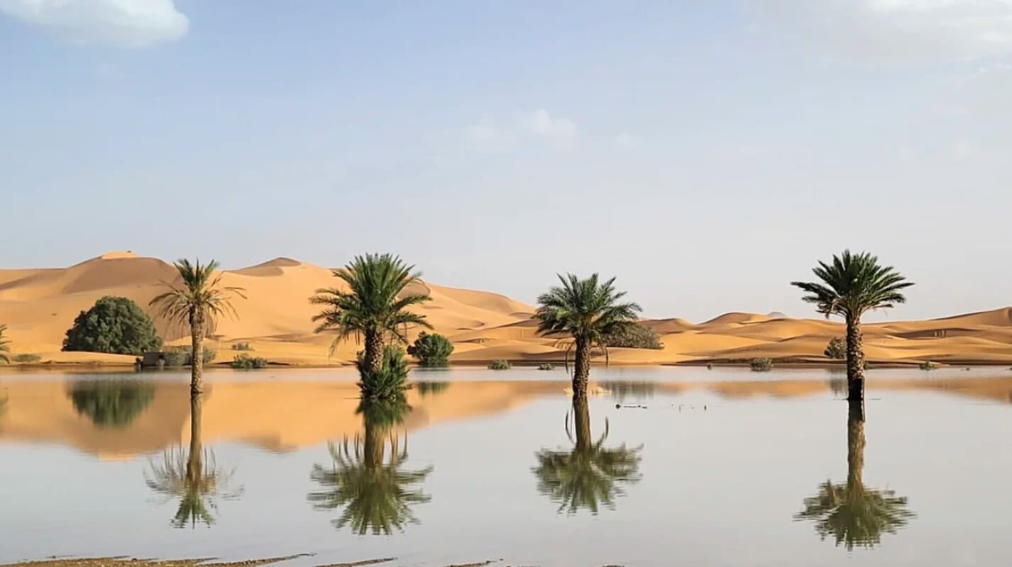 Lluvias torrenciales devuelven la vida al desierto del Sáhara en Marruecos (VIDEOS)