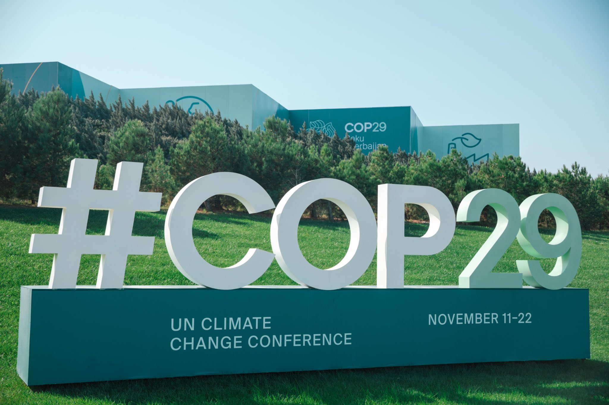 COP29: ¿Qué son los mercados de carbono?, la llave maestra de la mitigación climática