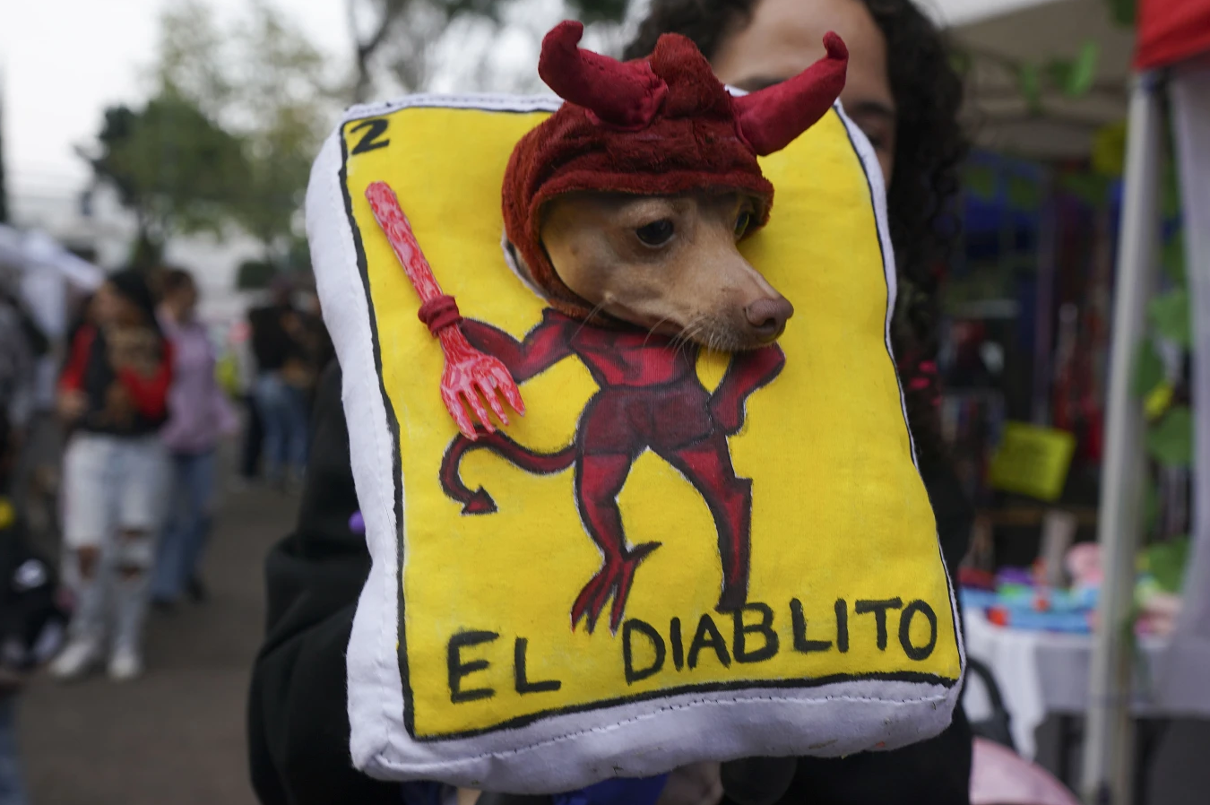 “Que nadie olvide a sus mascotas”: altares del Día de Muertos en México también honran animales