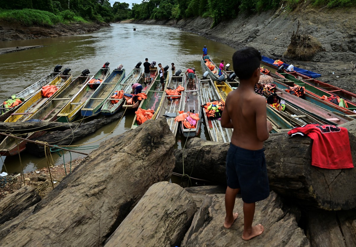 Más de 300 mil migrantes, la gran mayoría venezolanos, cruzaron el Darién en 2024