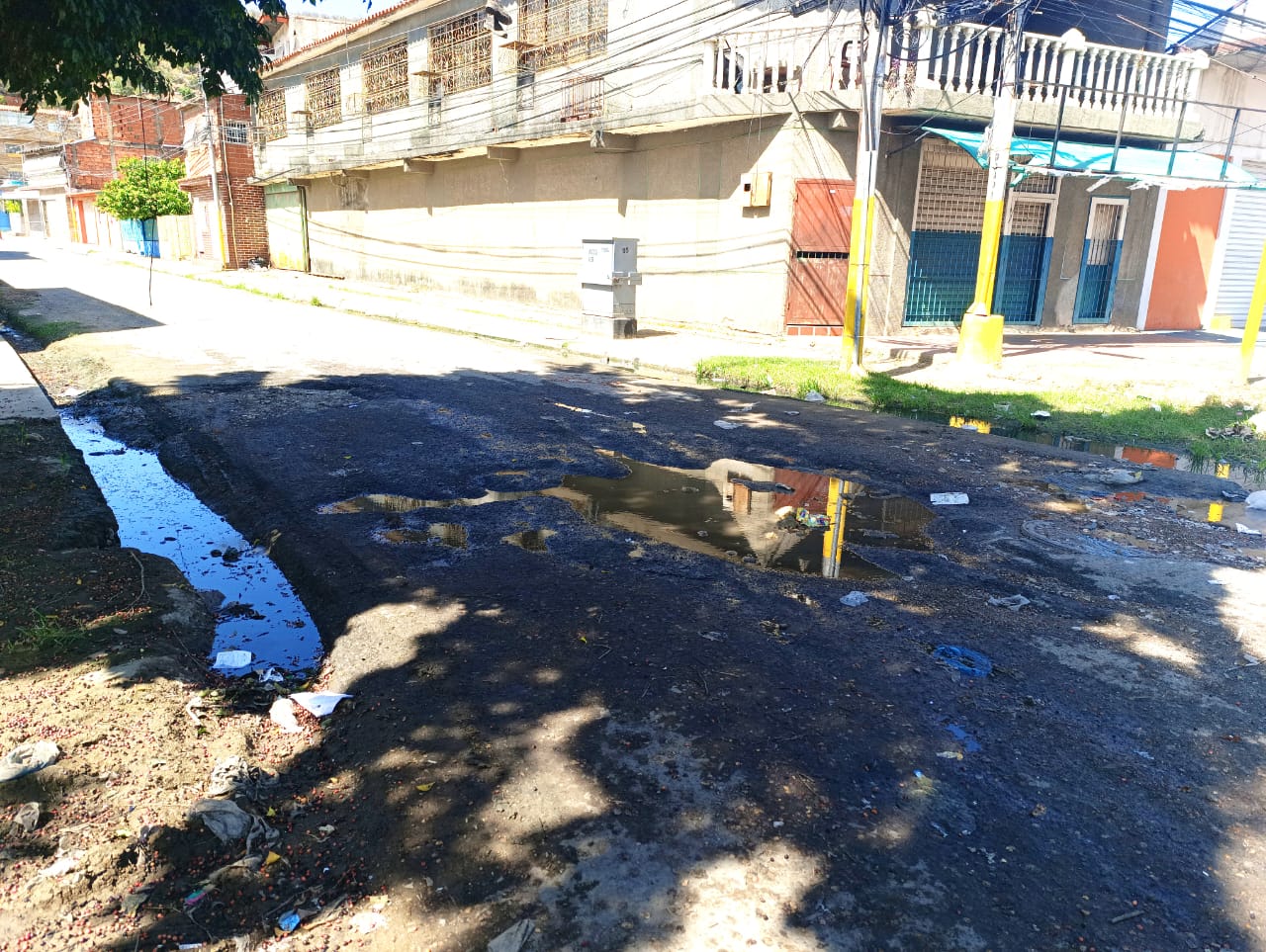 En el sector Sierra Maestra de Puerto La Cruz las calles están full de huecos