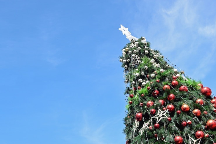 VIDEO: Un enorme árbol de Navidad de 56 metros mató a un joven de 21 años