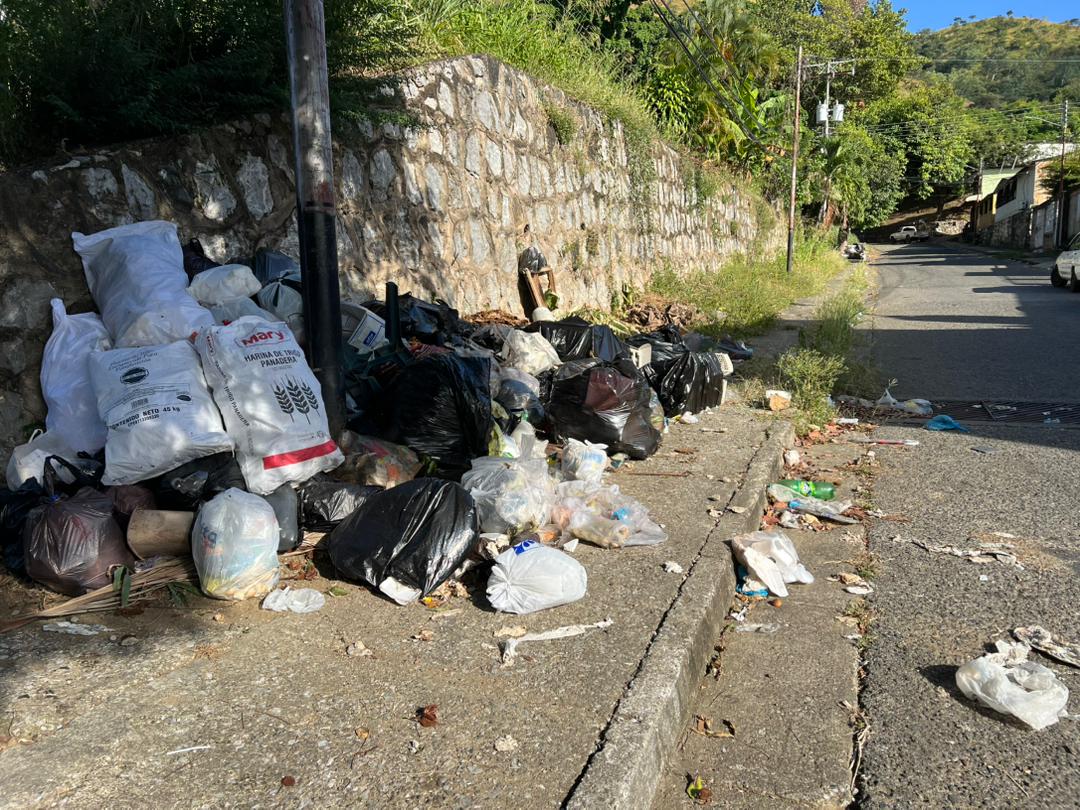 Persisten fallas en servicio de aseo urbano en San Juan de los Morros