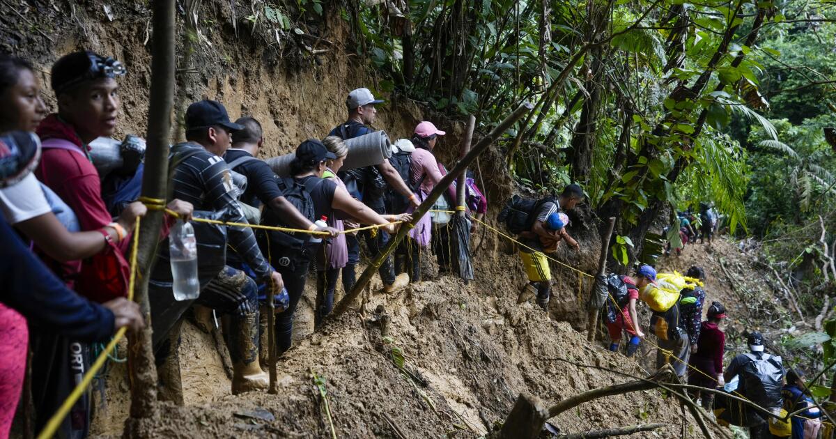 La selva del Darién en 2024: bajan los migrantes y Trump es el nuevo desafío