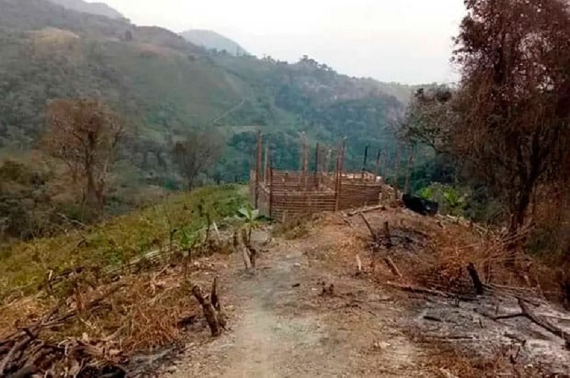 Denuncian voraz ecocidio en el Parque Nacional Dinira en Lara